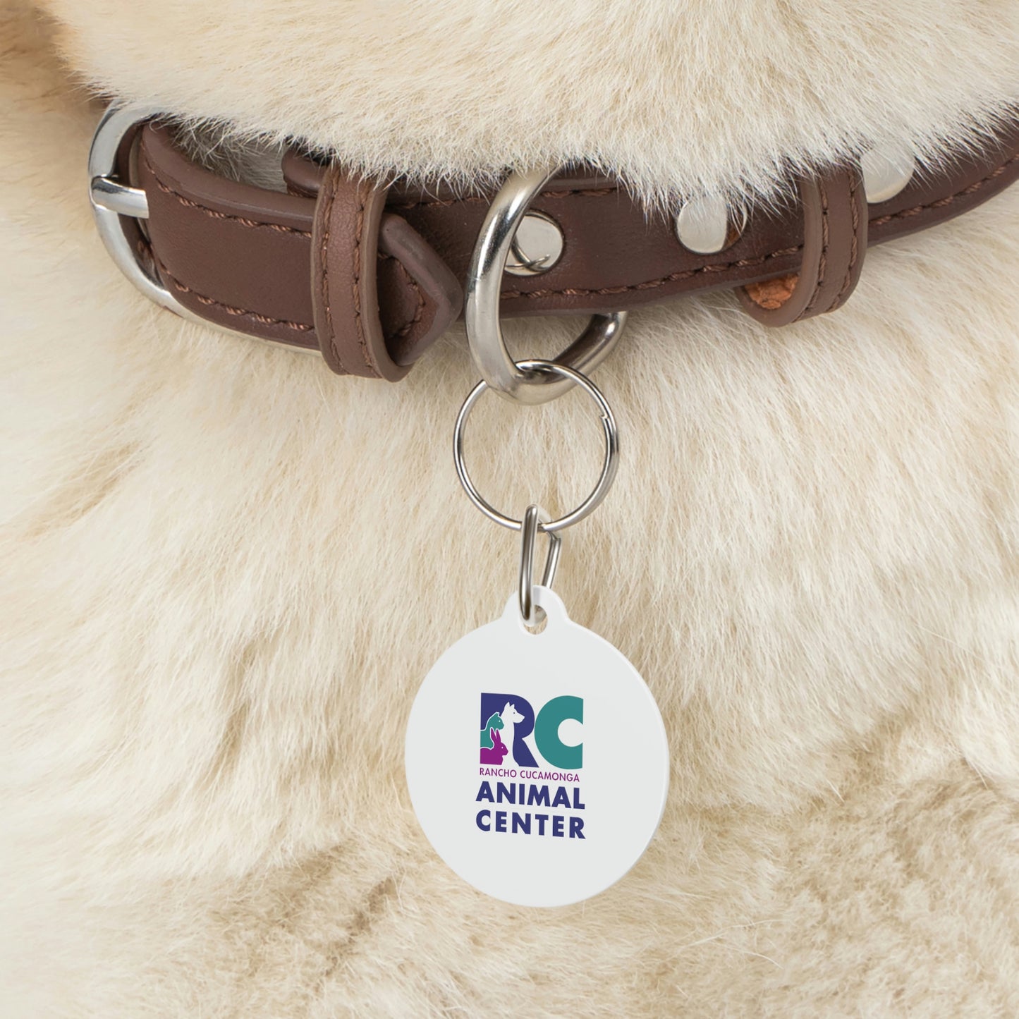 Pet Tag