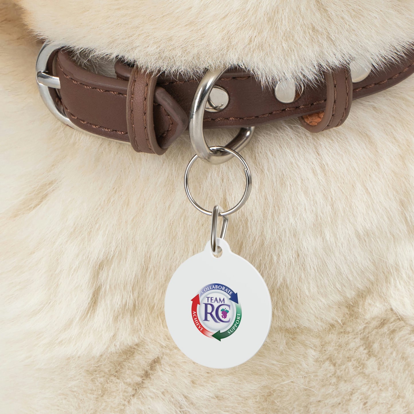 Pet Tag